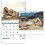 Custom Good Value Calendars 7265 Swimsuits - Stapled Calendar, Offset, Price/each