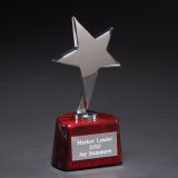 Arbor Star Award With A Shining Silver