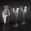 Martini Shaker Set With 2 Glasses, Price/each