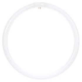 Sunlite 05022-SU FC16T9/DL Fluorescent 40W T9 Circline Ceiling Lights, 6500K Daylight Like Light, 4-Pin Base