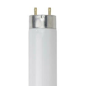 Sunlite 30187-SU F58T8/841 58 Watt T8 Lamp Cool White