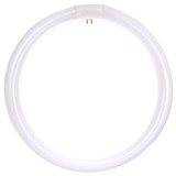 Sunlite 41315-SUFC12T9 Circline FluorescentLamps, 12-Inch Size, 32 Watts, 2100 Lumens, 4-Pin Base (G10q), 10,000 Life Hours, 41K – Cool White