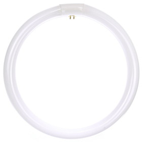 Sunlite 41315-SUFC12T9 Circline FluorescentLamps, 12-Inch Size, 32 Watts, 2100 Lumens, 4-Pin Base (G10q), 10,000 Life Hours, 41K &#8211; Cool White