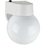 Sunlite 48030-SU ODF1015/WH Energy Saving Globe Style Outdoor Outdoor Fixture, White Finish, White Lens