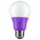 Sunlite 80132-SU A19/3W/PR/LED 80132 Purple LED A19 3 Watt Medium Base 120 Volt UL Listed LED Light Bulb, last 25,000 Hours