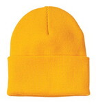 ATC C100 Everyday Knit Cuff Toque