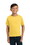 Island Yellow