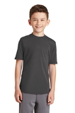 Custom Port & Company PC381Y Youth Performance Blend Tee