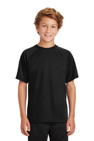 Custom Sport-Tek - Youth Dry Zone Raglan T-Shirt. Y473.