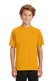 Custom Sport-Tek Y473 Youth Dry Zone Raglan T-Shirt