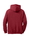 Hanes&#174; Nano Pullover Hooded Sweatshirt - N270