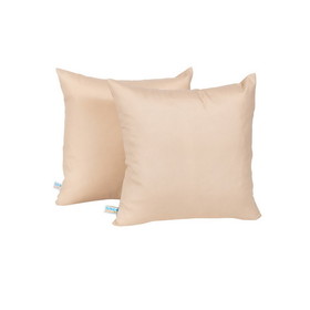Island Retreat NU6921 All-Weather Outdoor Throw Pillow - Set of 2 - Champagne