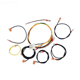 Raypak 004011F Wire Harness 055 Iid-Kit