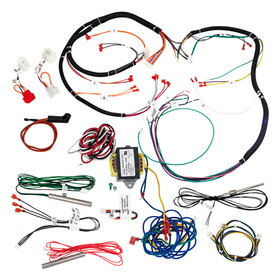 Raypak 019064F Kit-Wire/Harness