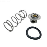 Raypak 062234B Unitherm Governor Raypak