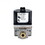 Raypak 600562 Valve-Pilot Gas 24V, Price/each