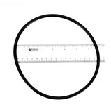 Speck Pumps 2921641223 O-Ring-Casing 165 X 6Mm