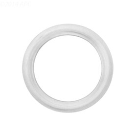 Neptune Benson 1000-2467 Flat O-Ring White For Es20/S40