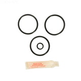 Aladdin Equipment Co. Anthony 2In Brass Rep.Kit Apckit8