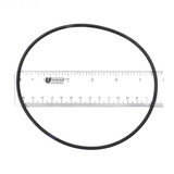 Sterling Seal & Supply Astral 7731392035 Trap O-Ring Astral 7731329035