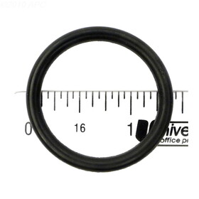 Sterling Seal & Supply 216-7470 O-Ring For 3/4In Union O225 Doughboy 3081002 Jacuzzi 47021605R Starite / Swimquip 1496235 355051228