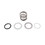 Fluidra USA 4404121103 Back Ring, Price/EA