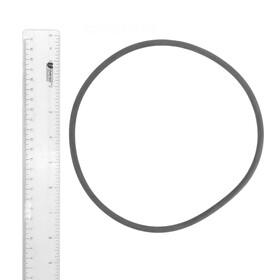 Fluidra 4404180201 Cantabric Filter Lid Oring