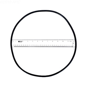 Fluidra USA 4404210302 Astral Micron Media Filter O-Ring