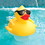 Great American Merchandise & Events 8002 Solar Lighted Derby Duck Chlorinator, Price/each