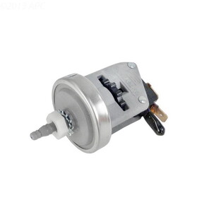 Raypak H000025 Water Pressure Switch Kit