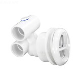 Balboa Water Group 16-5200WHT Microssage Jet 1In X 1In