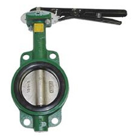 American Granby HBFV2 2In Cast Iron Butterfly Valve