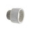 Lasco Fittings 439-198 2In X 1.5In Fpt X Mpt Sch40 Threaded Reducer Bushing, Price/each