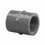 Lasco Fittings 830-020 2In Fpt Coupling Schedule 80 Gray, Price/each