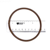 Zodiac R0586300 Fusion Tri-Lobe O-Ring Zodiac
