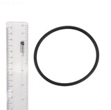 Zodiac R0694100 Truclear O-Ring Replacement
