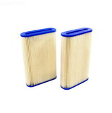 Hayward RCX7807 Pair(2) Filter Cartridges