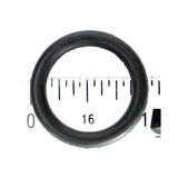 Hayward SPX0605Z2V Drain Plug O-Ring