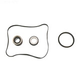 Hayward SPX1600TRA Seal Assy Kit