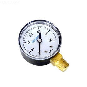 International Leisure Products 8960 Pressure Gauge 60Psi Bottom Mount