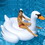 International Leisure Products 90621 Giant Swan Ride-On, Price/each