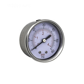 Waterway Plastics 830-4000SS-B Optional Pressure Gauge