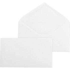 Business Source Diagonal Seam No. 9 Envelopes