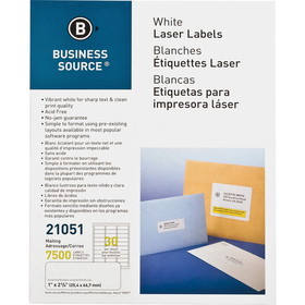 Business Source Bright White Premium-quality Address Labels, BSN21051