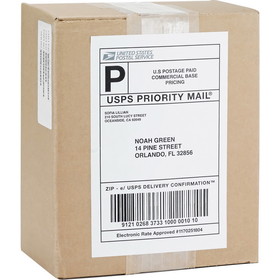 Business Source Bright White Premium-quality Internet Shipping Labels, BSN26161