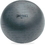 Champion Sports 65 cm FitPro BRT Training and Exercise Ball, Price/EA