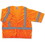 Ergodyne GloWear Class 3 Orange Economy Vest, Price/EA