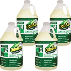 OdoBan Eucalyptus Multi-purpose Deodorizer Disinfectant Concentrate