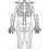 Roylco Skeleton Art Aprons, RYL59801, Price/PK