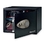 Sentry Safe Security Safe with Electronic Lock, Price/EA